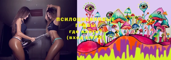 ешки Арсеньев