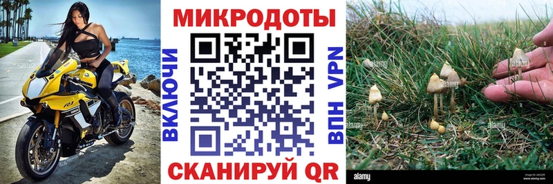 Галлюциногенные грибы MAGIC MUSHROOMS сколько стоит площадка как зайти Чадан